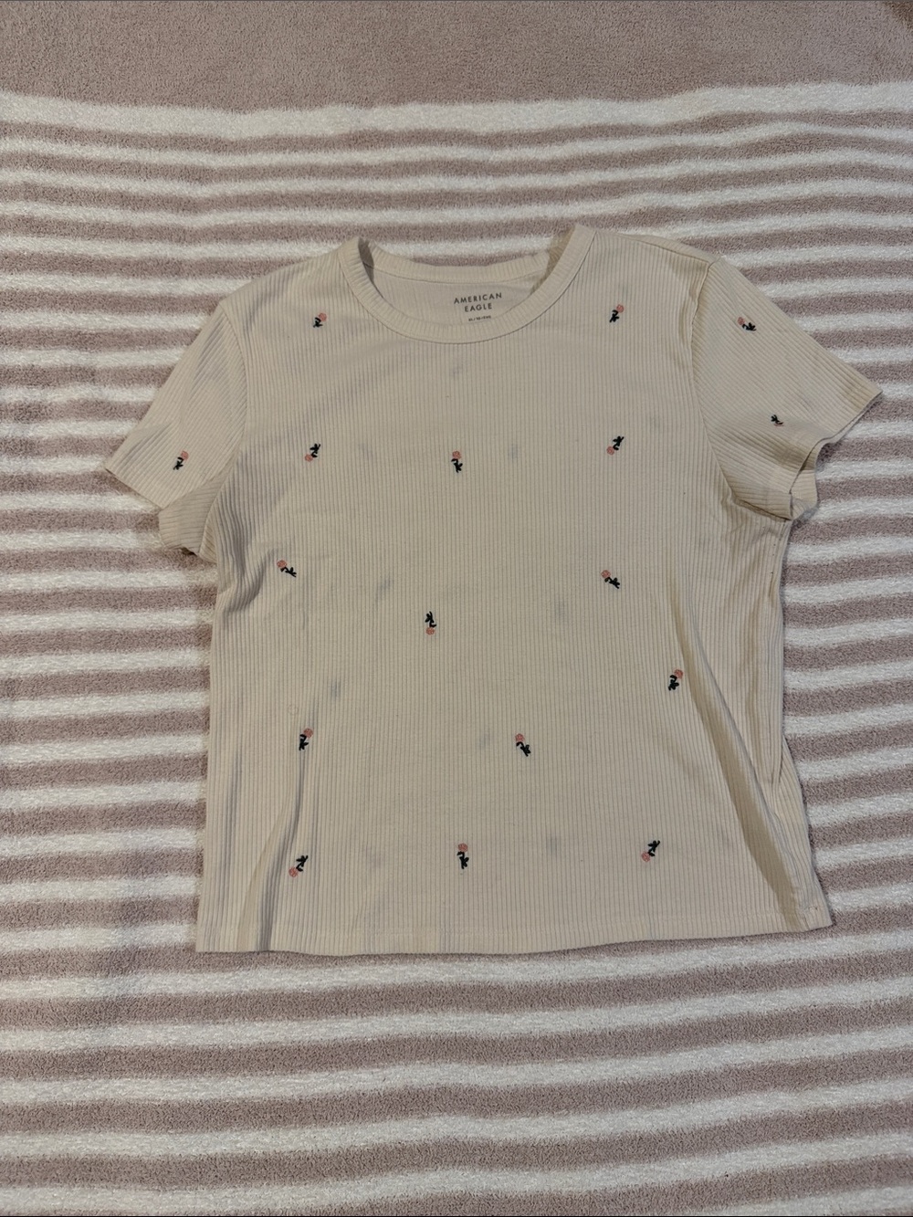 American Eagle Outfitters Cream Ribbed Tee with Tiny Floral Embroidery